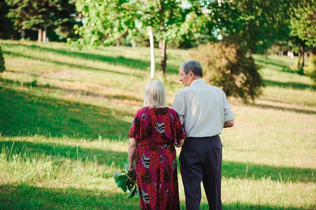 Coppia di età innamorata mano nella mano su una passeggiata nel parco in estate.