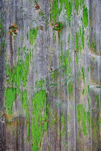 Photo aged  gray wood green painted