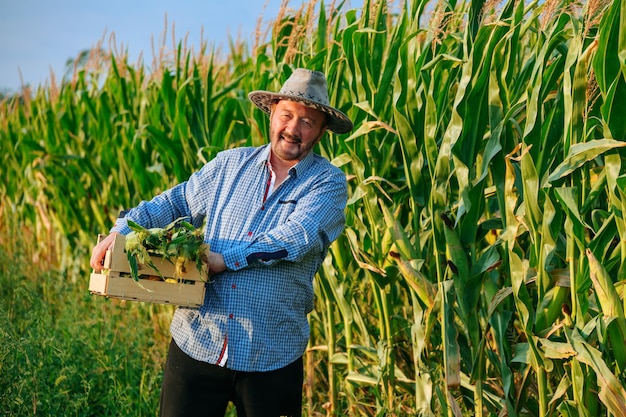 aged man farmer carries box with crop of ripe corn in hands man smile looking at camera front view there is happiness on the face of elderly worker it is hard and joyful for him copy space