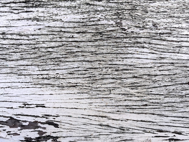 Aged Tree Bark Plank Background