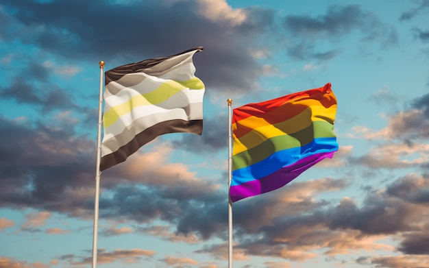 Agender pride and LGBT flags on color background