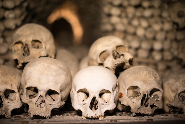 Agglomeration of skulls and bones