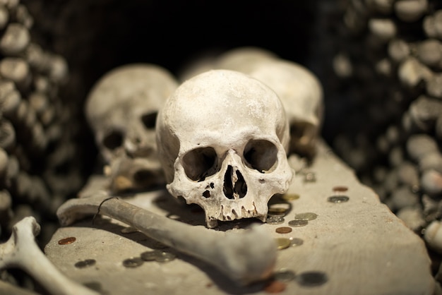 Agglomeration of skulls and bones