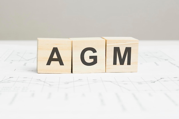 灰色の背景にagm木製ブロックワード。 agm-年次総会、情報の概念。