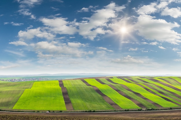 Agrarisch landschap met groene velden en lucht