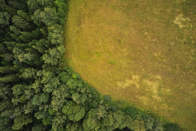 Agrarisch veld met bos in de buurt, zomer, uitzicht van bovenaf