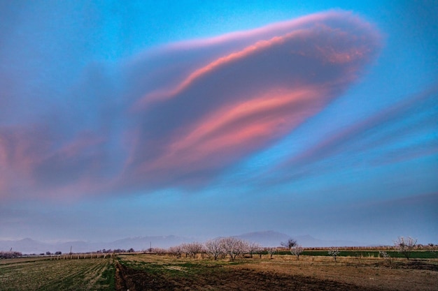 Agrarisch veld onder de kleurrijke zonsondergang