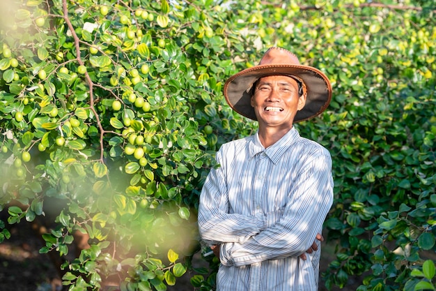 Agrarische Jujube Farm Chinese dadelpalm Aziatische landbouw omringd door jujubeboom in boomgaard