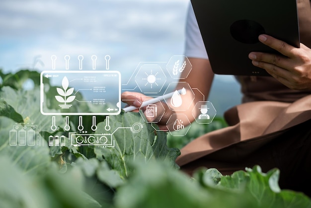 Agrarische technologie boer man met behulp van tabletcomputer analyseren van gegevens en ochtend afbeelding icoon