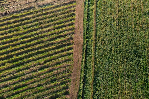 Agrarische veld luchtfoto