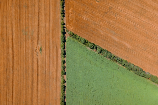 Agrarische velden met maïs en tarwe gewassen luchtfoto geometrische figuren gevormd uit verschillende cu...