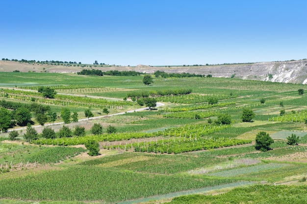 Foto paesaggio agricolo