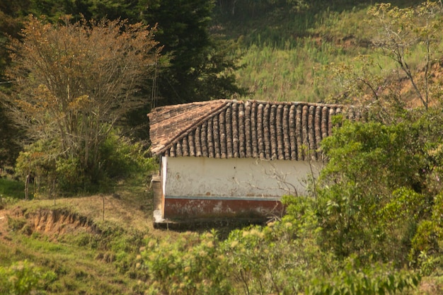 agricultura