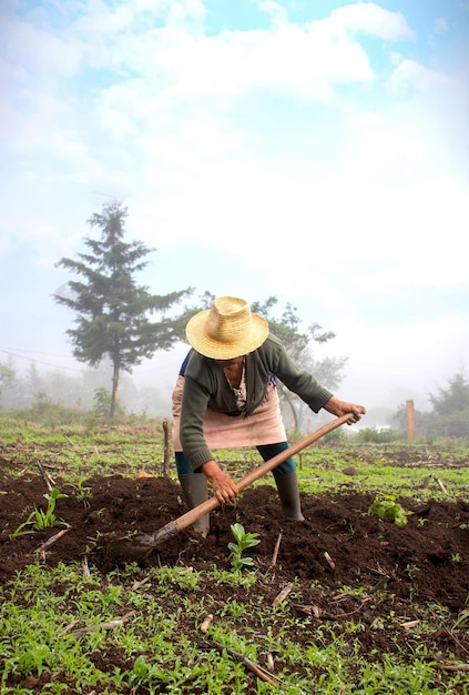 agricultura