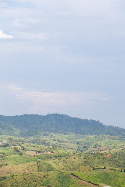 Agricultural areas in the mountains