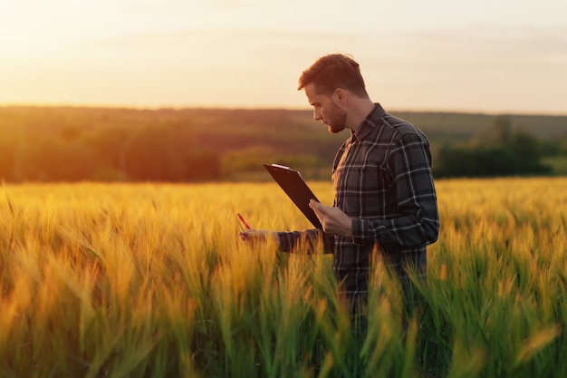 Agricultural engineer at the field inspection