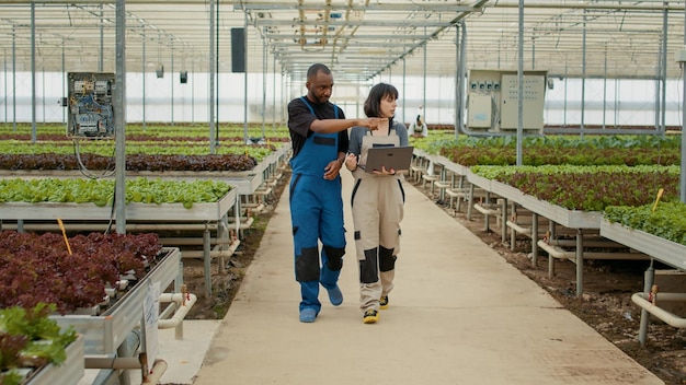 新しいアフリカ系アメリカ人の労働者に、温室での有機野菜の収穫順序を説明するラップトップを使用する農業技術者。農業手順に関する白人女性研修従業員。