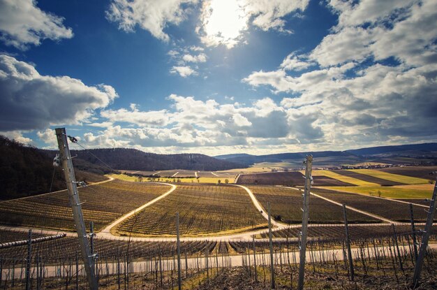 Agricultural field against sky