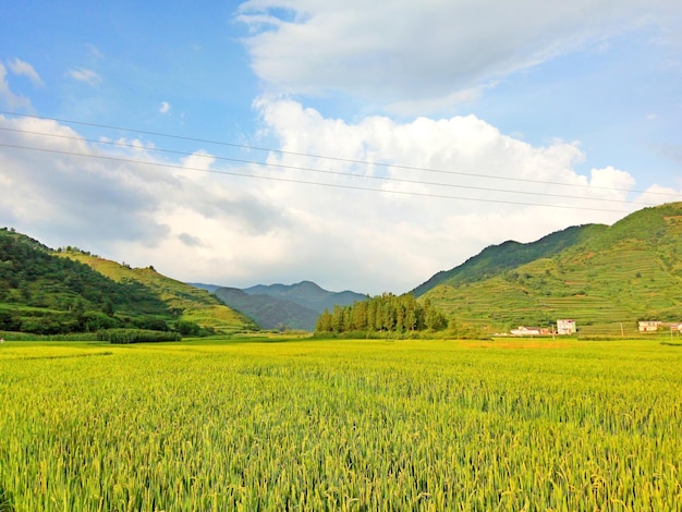 agricultural field by mountains against cloudy sky