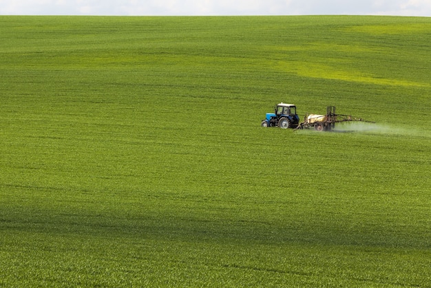 An agricultural field on which crops of cereals