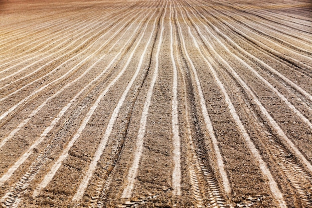 Agricultural field, which was plowed for sowing crops. Spring