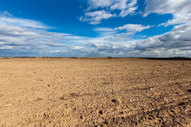 Agricultural field