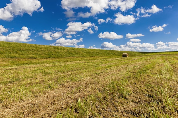 An agricultural field