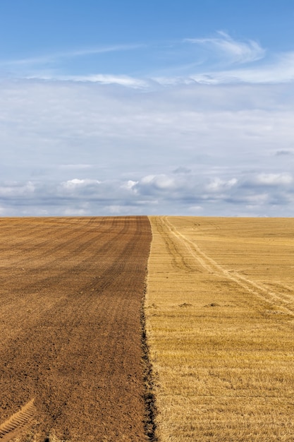 An agricultural field