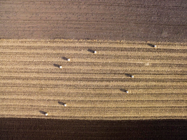 Agricultural fields in Autumn