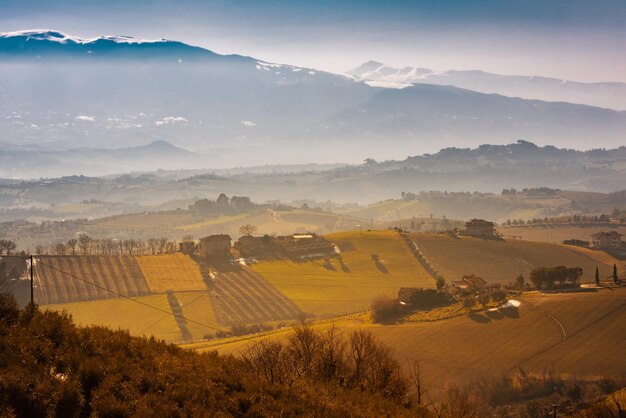 Foto campi agricoli e terreni coltivati in collina