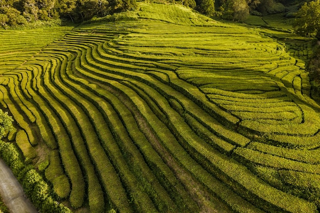 Agricultural fields in hilly valley