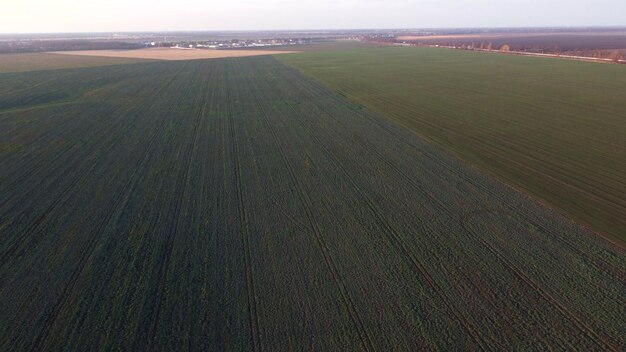 Agricultural fields of sugar beet and winter crops Above field