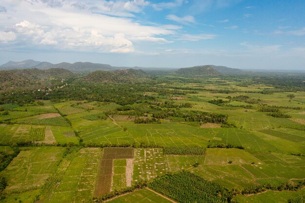 Agricultural landscape in the countryside sri lanka