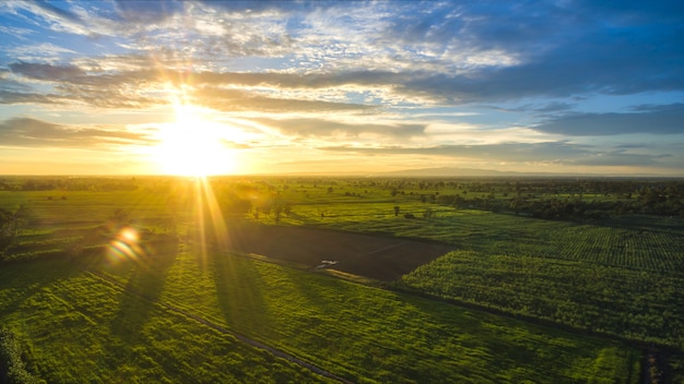 Alba soleggiata del paesaggio agricolo in un campo