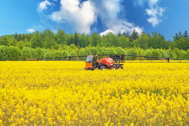 Foto macchine agricole che spruzzano colture di colza con pesticidi in primavera