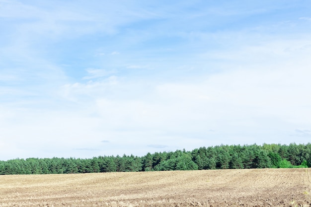 Agricultural plowed field and blue sky