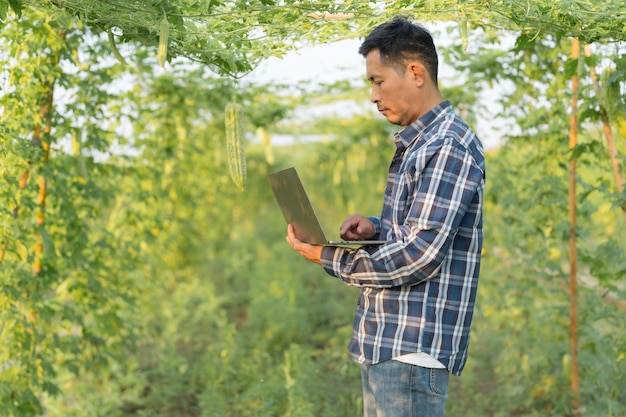 Responsabile della ricerca agricola