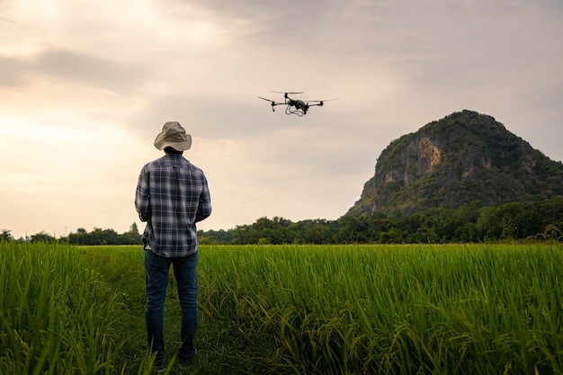 Agricultural specialist controls agriculture drone with remote controller for spraying fertilizer and pesticide at rice field Agriculture 5g Smart farming Smart technology concept