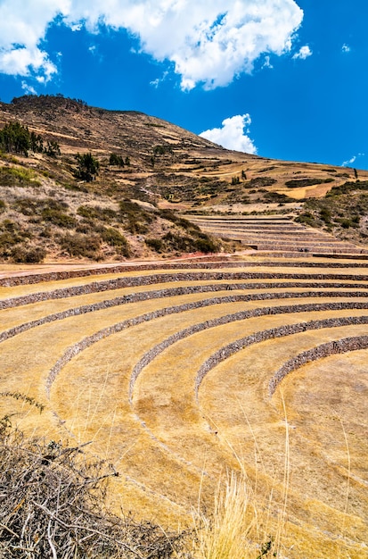 Terrazzi agricoli a moray in perù