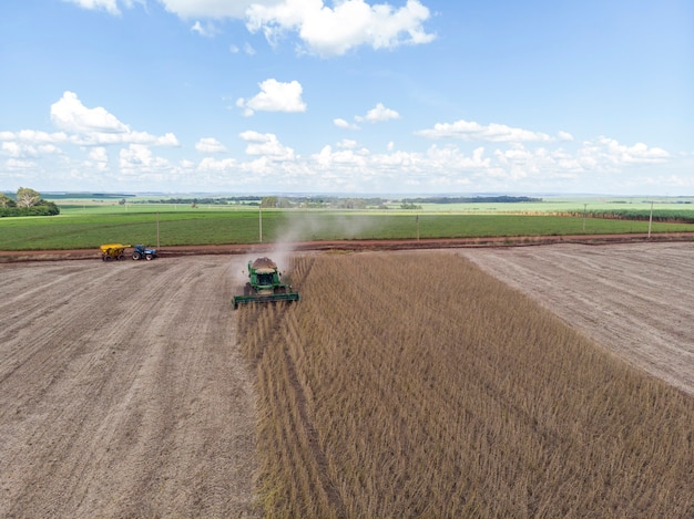 Trattore agricolo che raccoglie semi di soia nel campo.