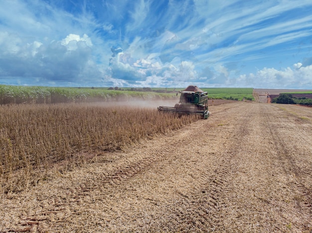 畑で大豆を収穫する農業用トラクター