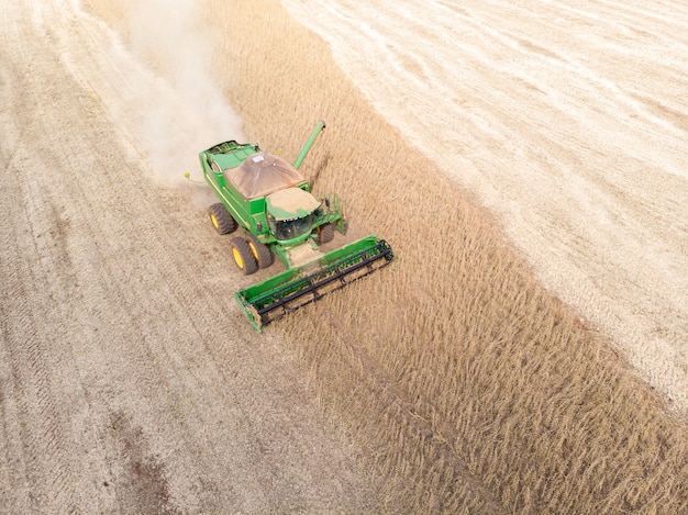 Agricultural tractor harvesting soybeans in the field.