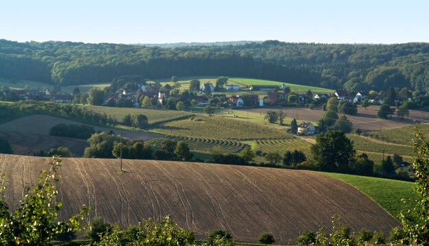 agricultural view around Emmendingen