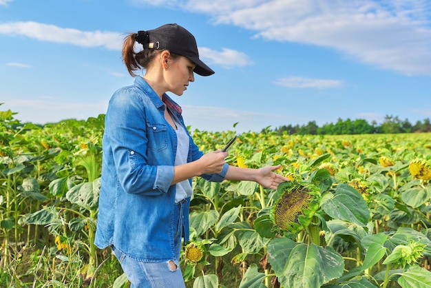 Agricultural worker woman with working folder in green sunflower field, female working on farm, analyzes the harvest, copy space