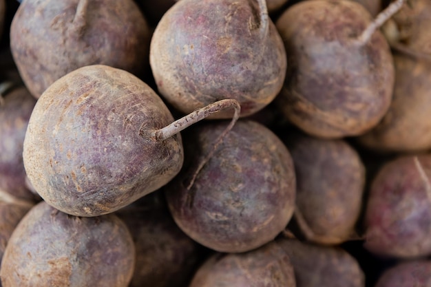 Photo agriculture background group of red beets in full frame closeup