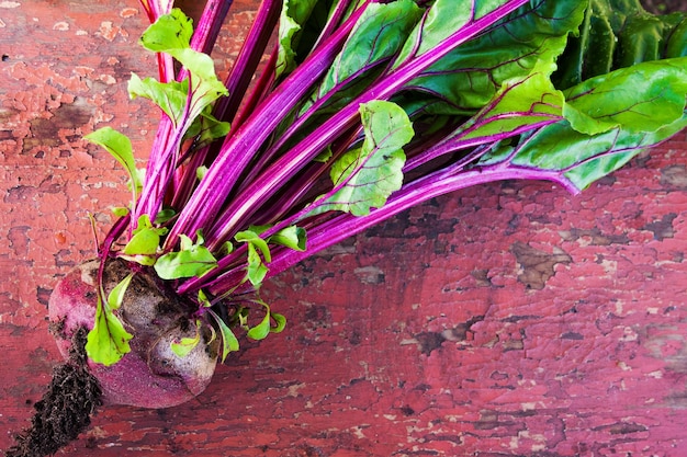 Photo agriculture - big beet root with dense foliage on a wooden board.