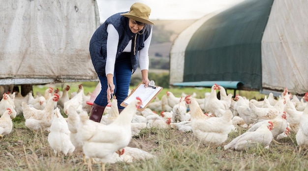 農業養鶏と放し飼い農場の環境とフィールドにクリップボードを持つ女性持続可能な動物の世話と農家は、田舎の自然や持続可能な貿易で家禽の鳥をチェックします