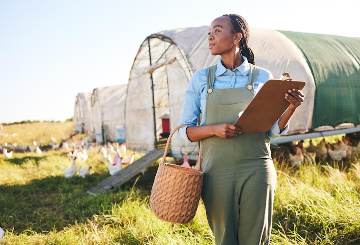 Photo agriculture clipboard and black woman at a chicken farm for sustainability management in the countryside poultry farmer and african female with checklist for eco livestock and field inspection