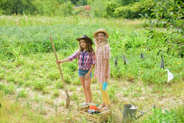 農業のコンセプト姉妹が一緒に農場を手伝っています野菜を植える野菜を育てる良い収穫を願っています植物を植える女の子庭で働く素朴な子供たち植え付けと水やり