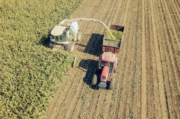 Agriculture cutting silage and filling trailer in field Aerial View